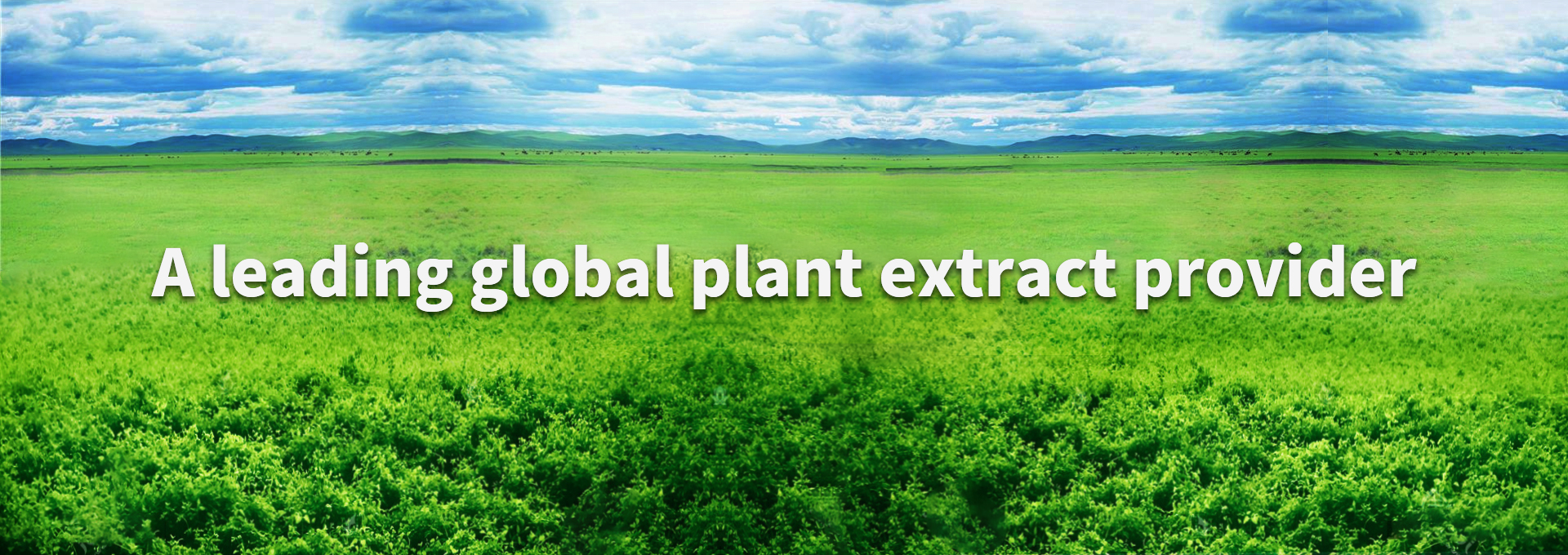 k豆钱包官方网站 - KDpay钱包