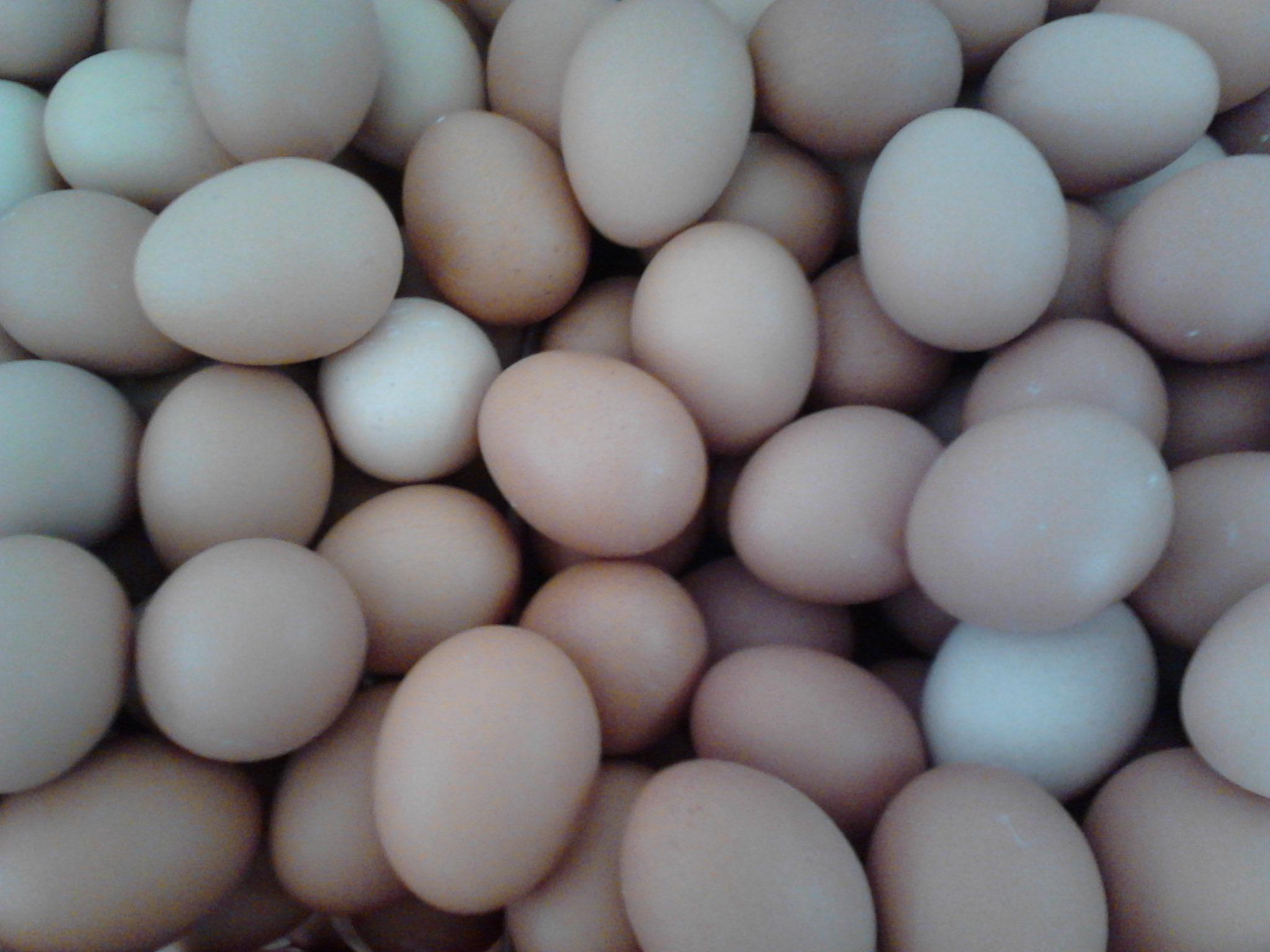 k豆钱包官方网站 - KDpay钱包