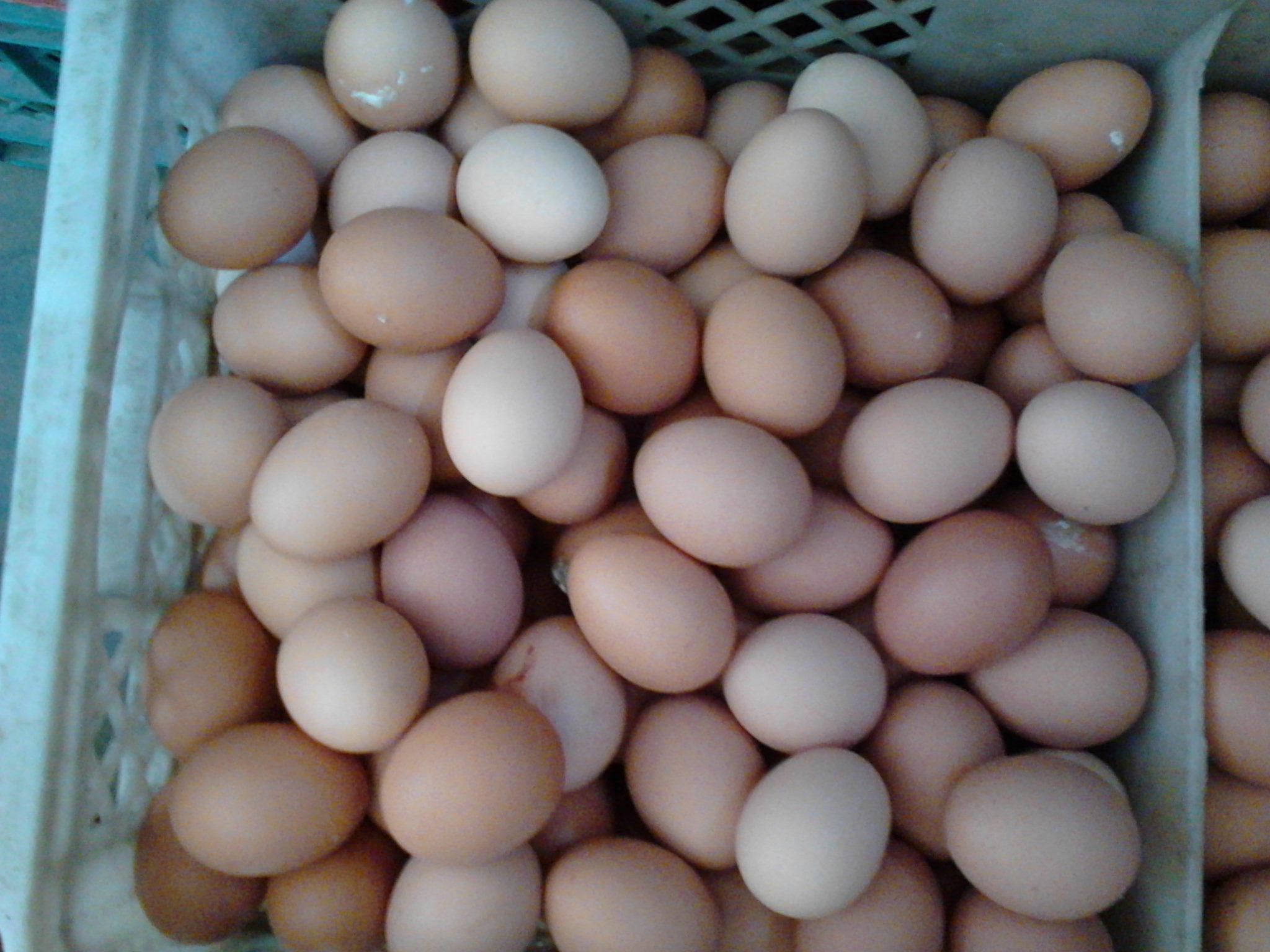 k豆钱包官方网站 - KDpay钱包