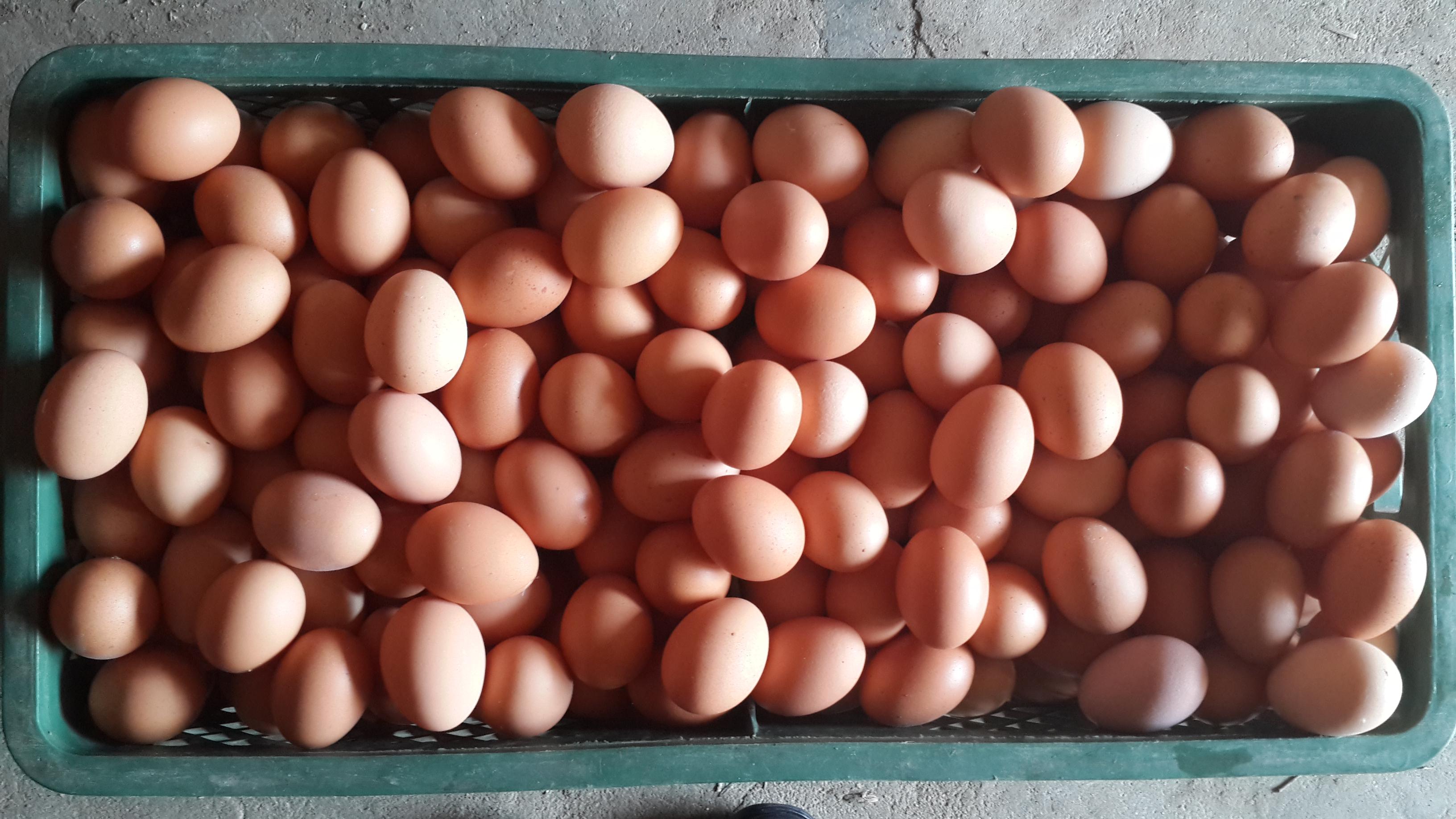 k豆钱包官方网站 - KDpay钱包