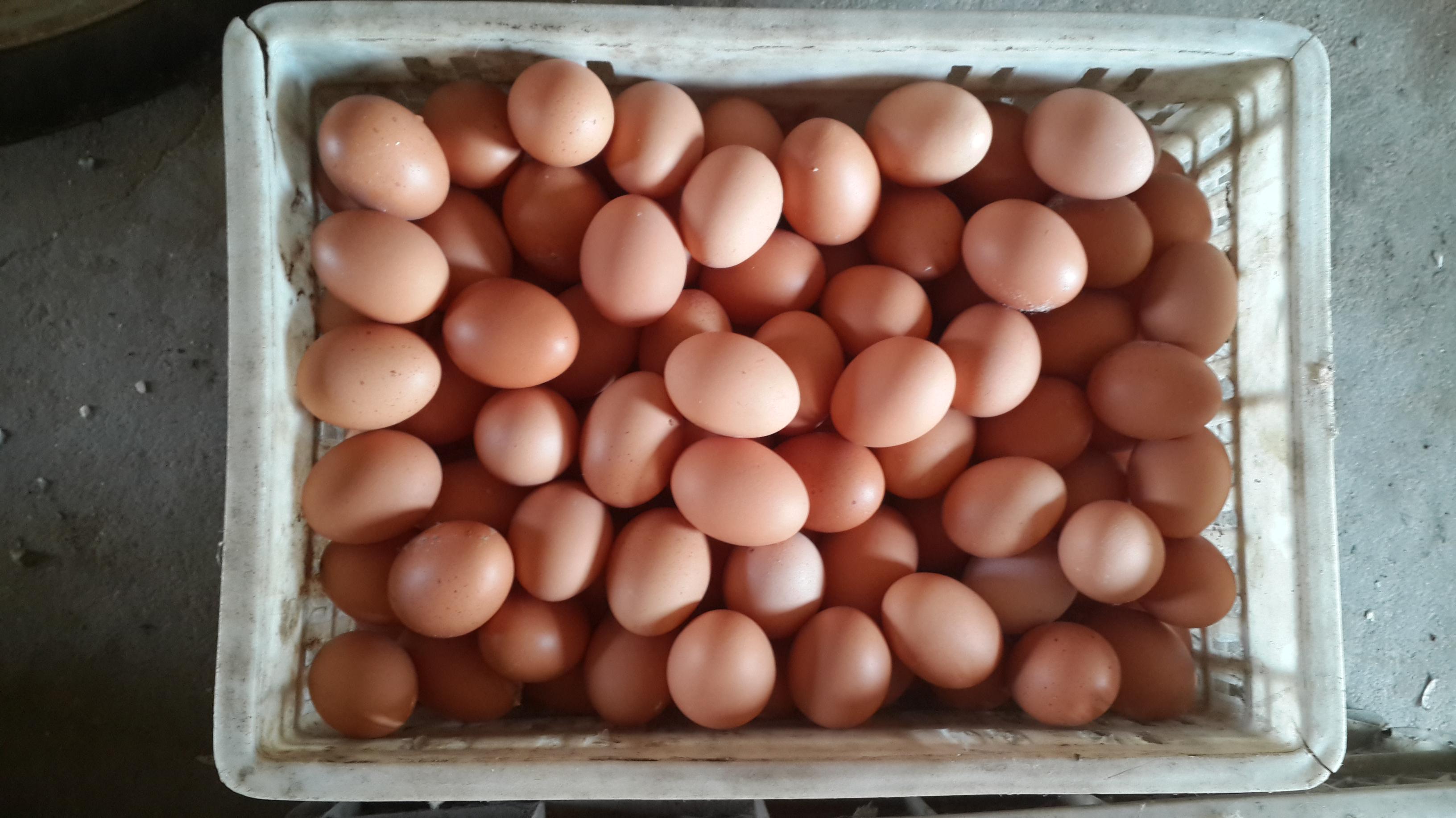 k豆钱包官方网站 - KDpay钱包