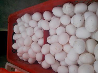 k豆钱包官方网站 - KDpay钱包