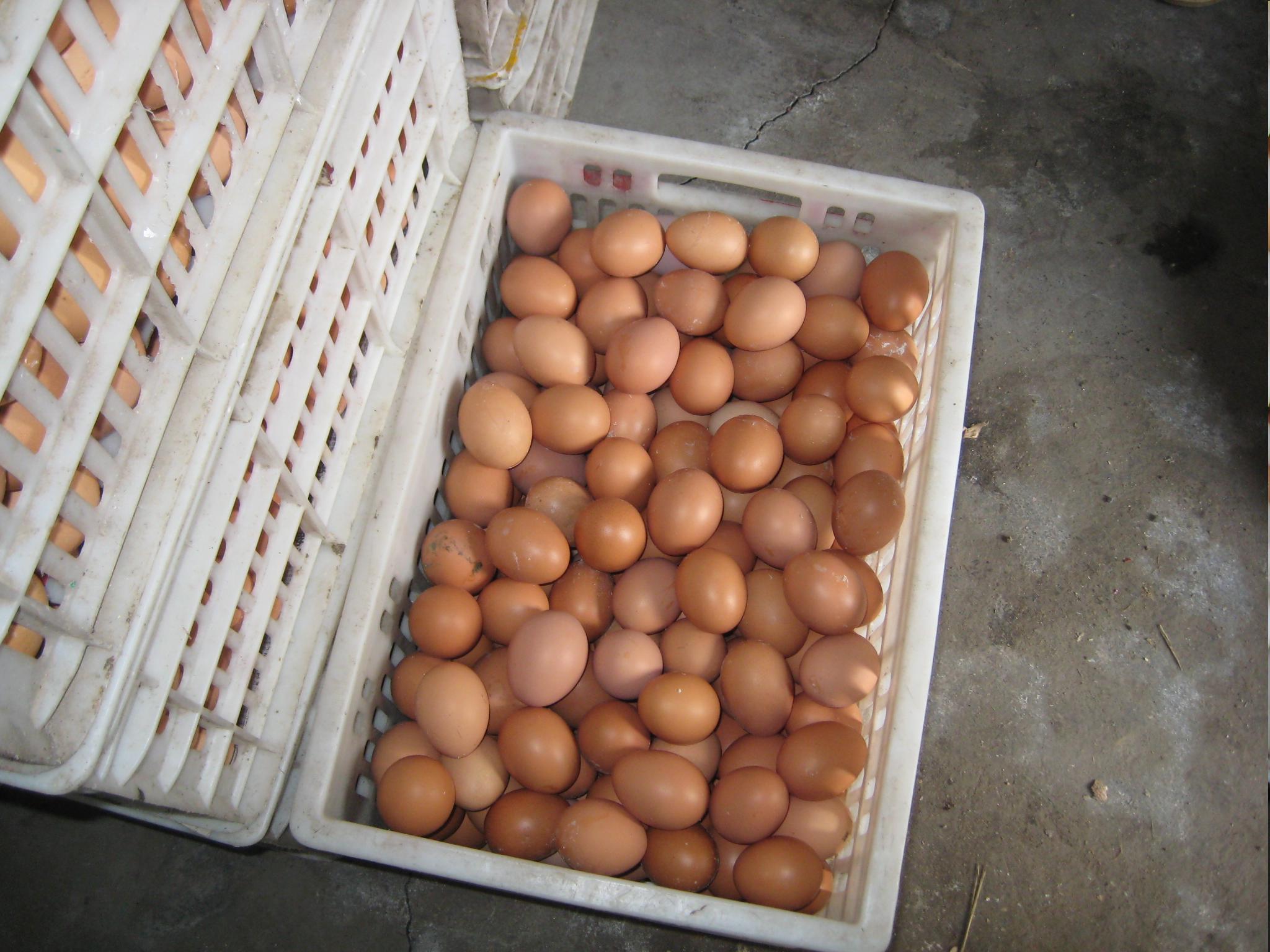 k豆钱包官方网站 - KDpay钱包