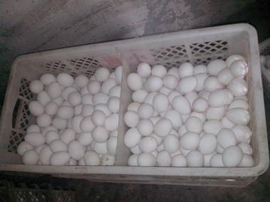 k豆钱包官方网站 - KDpay钱包