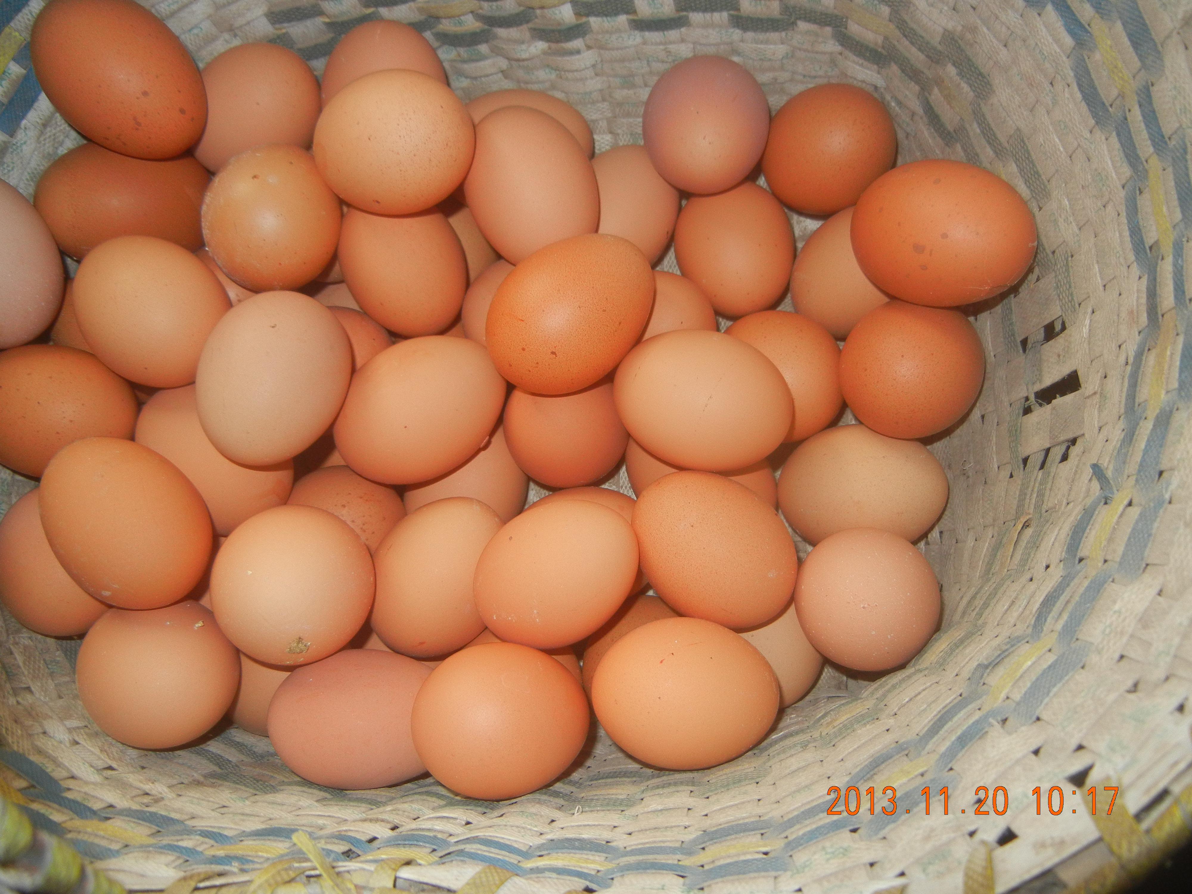 k豆钱包官方网站 - KDpay钱包