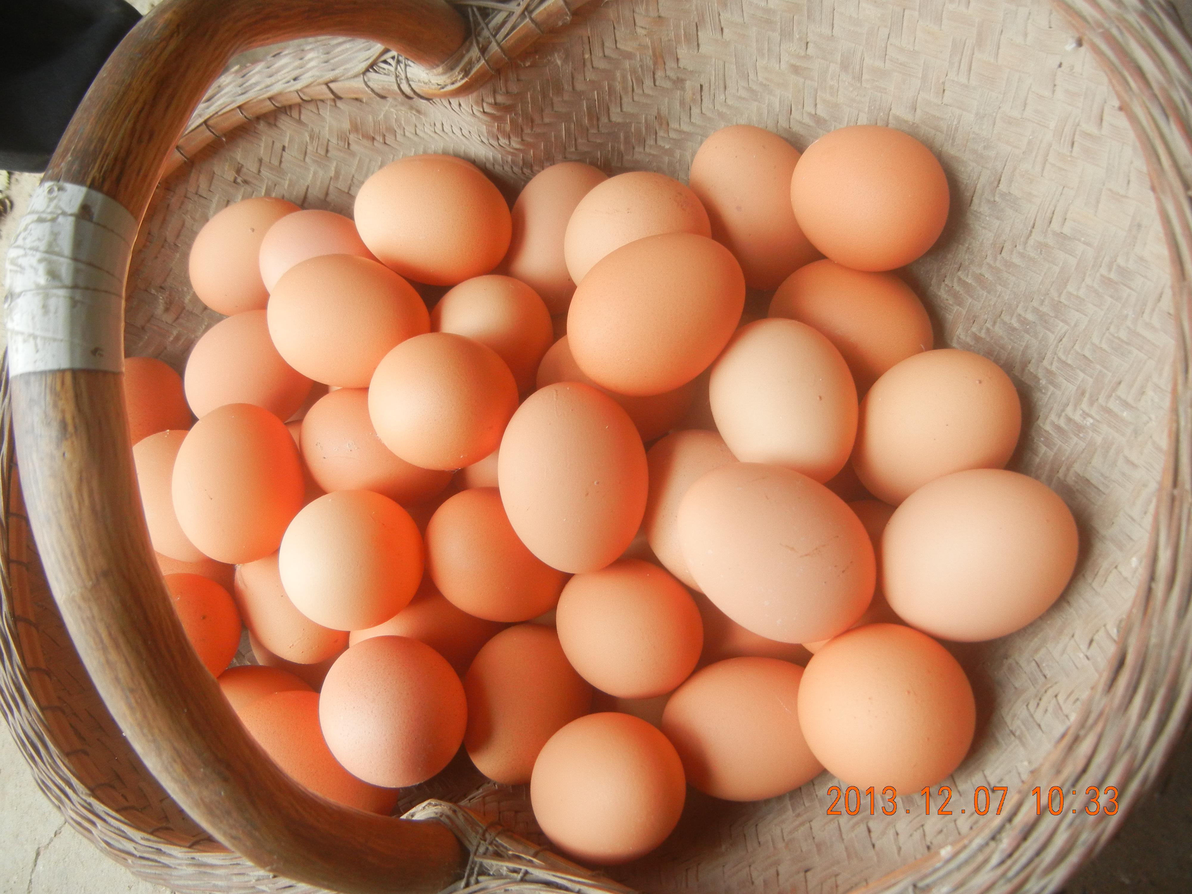 k豆钱包官方网站 - KDpay钱包