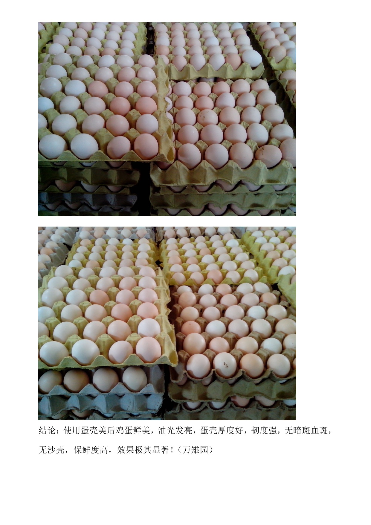 k豆钱包官方网站 - KDpay钱包