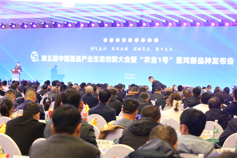 k豆钱包官方网站 - KDpay钱包