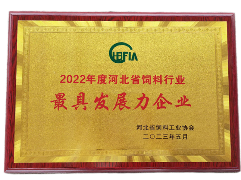 k豆钱包官方网站 - KDpay钱包