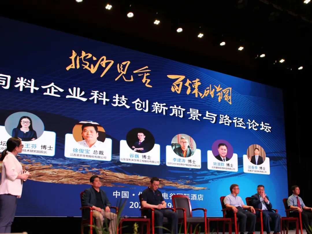 k豆钱包官方网站 - KDpay钱包