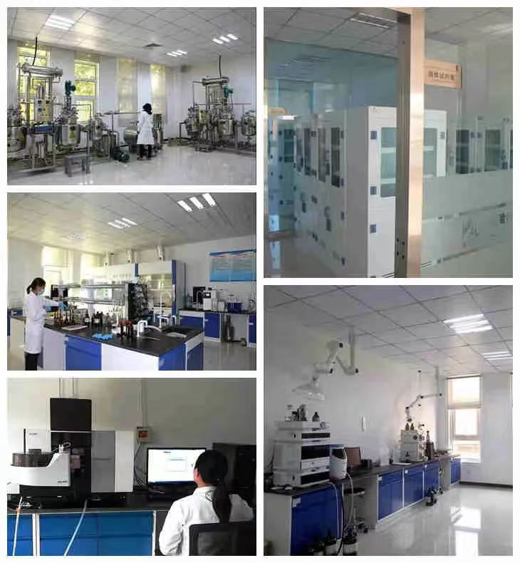 k豆钱包官方网站 - KDpay钱包