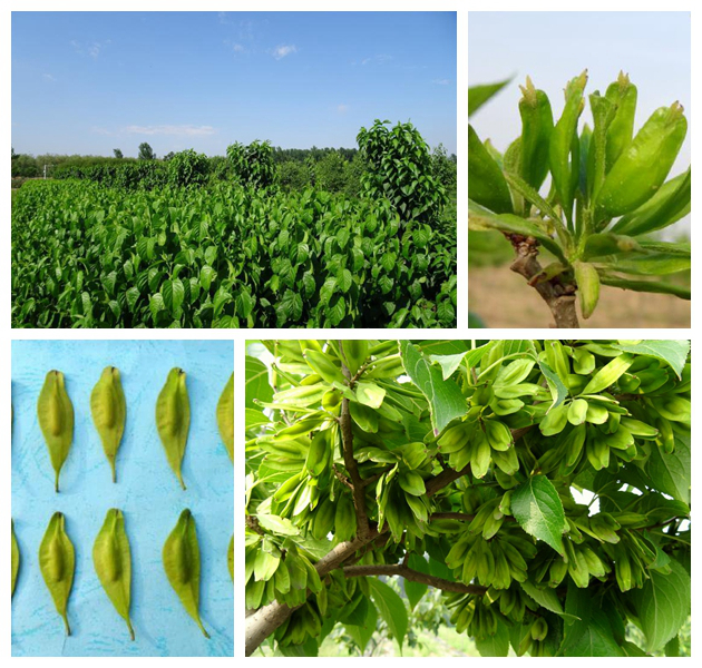 k豆钱包官方网站 - KDpay钱包